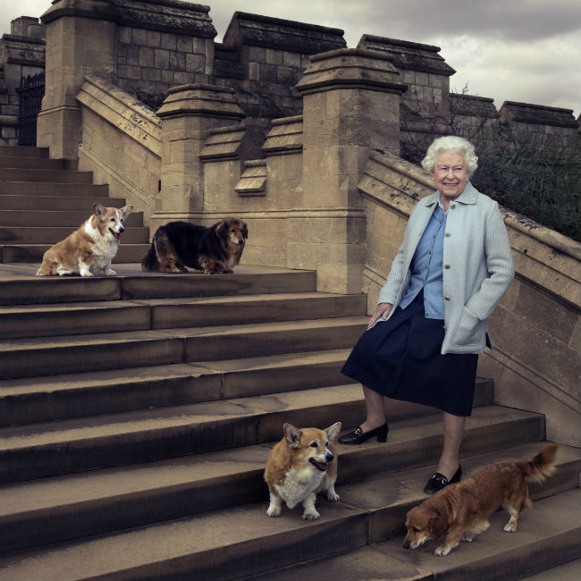 Queen Elizabeth's last corgi passes away - Entertainment - Emirates24|7